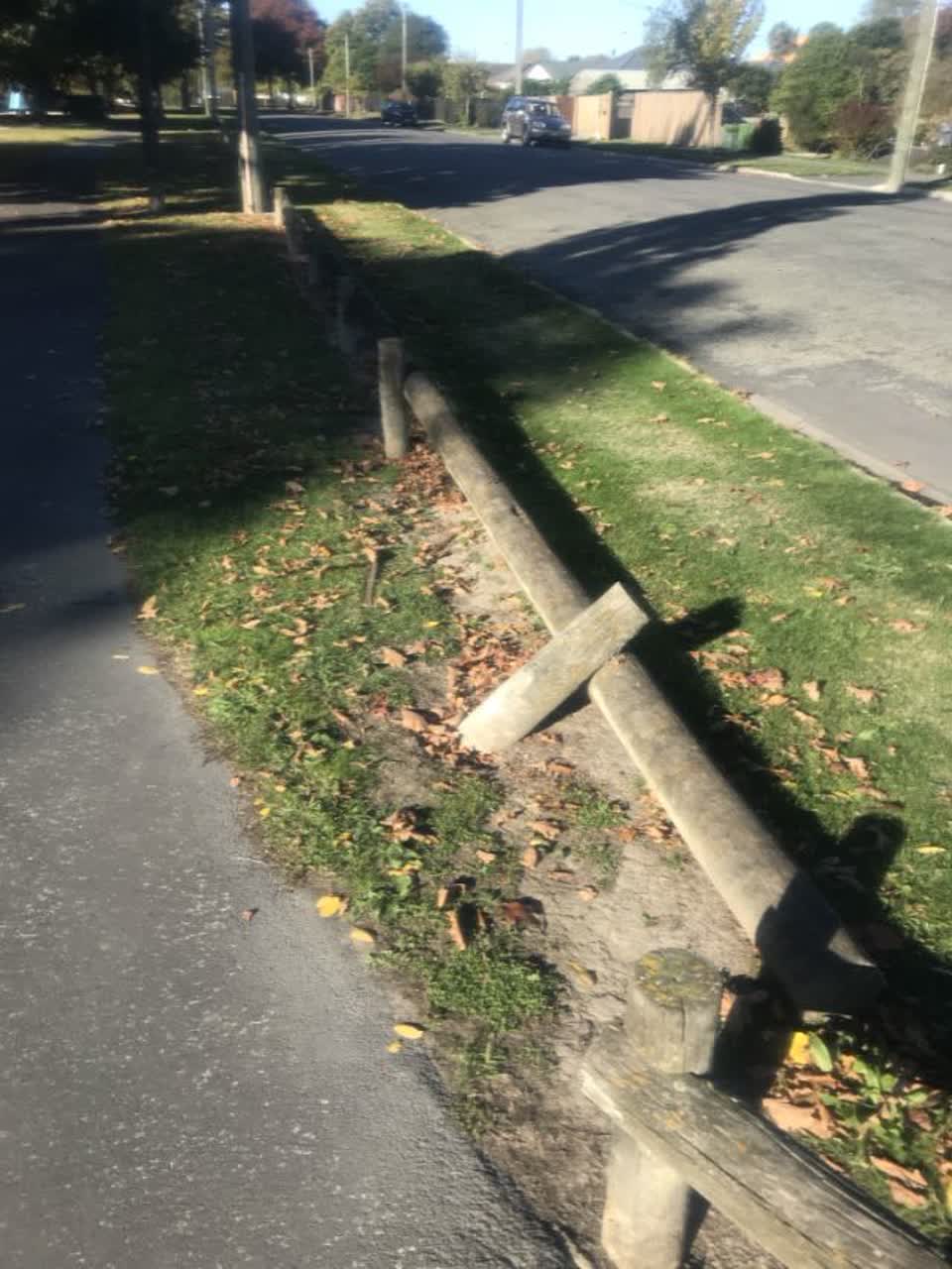 The photograph attached to this parks report