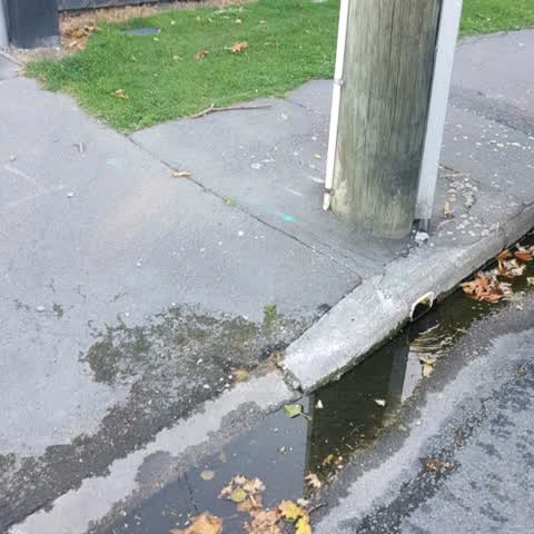 Wastewater/Stormwater, a report photo