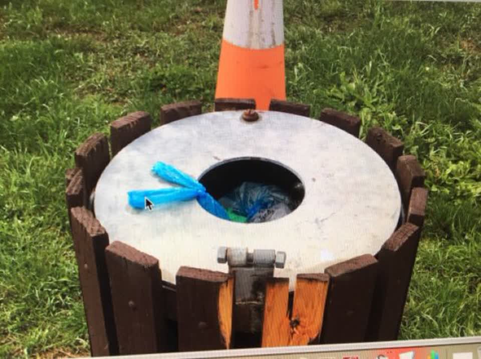The photograph attached to this parks report