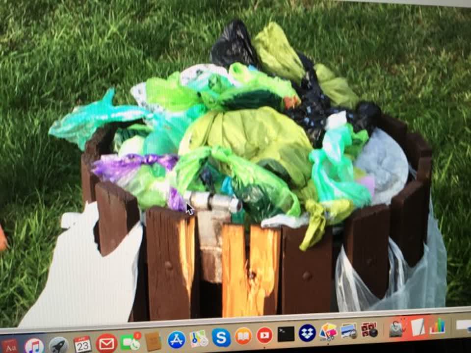 The photograph attached to this parks report