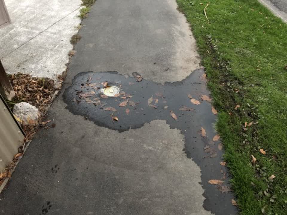 The photograph attached to this water supply report