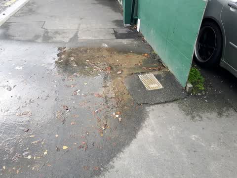 Water Supply, a report photo