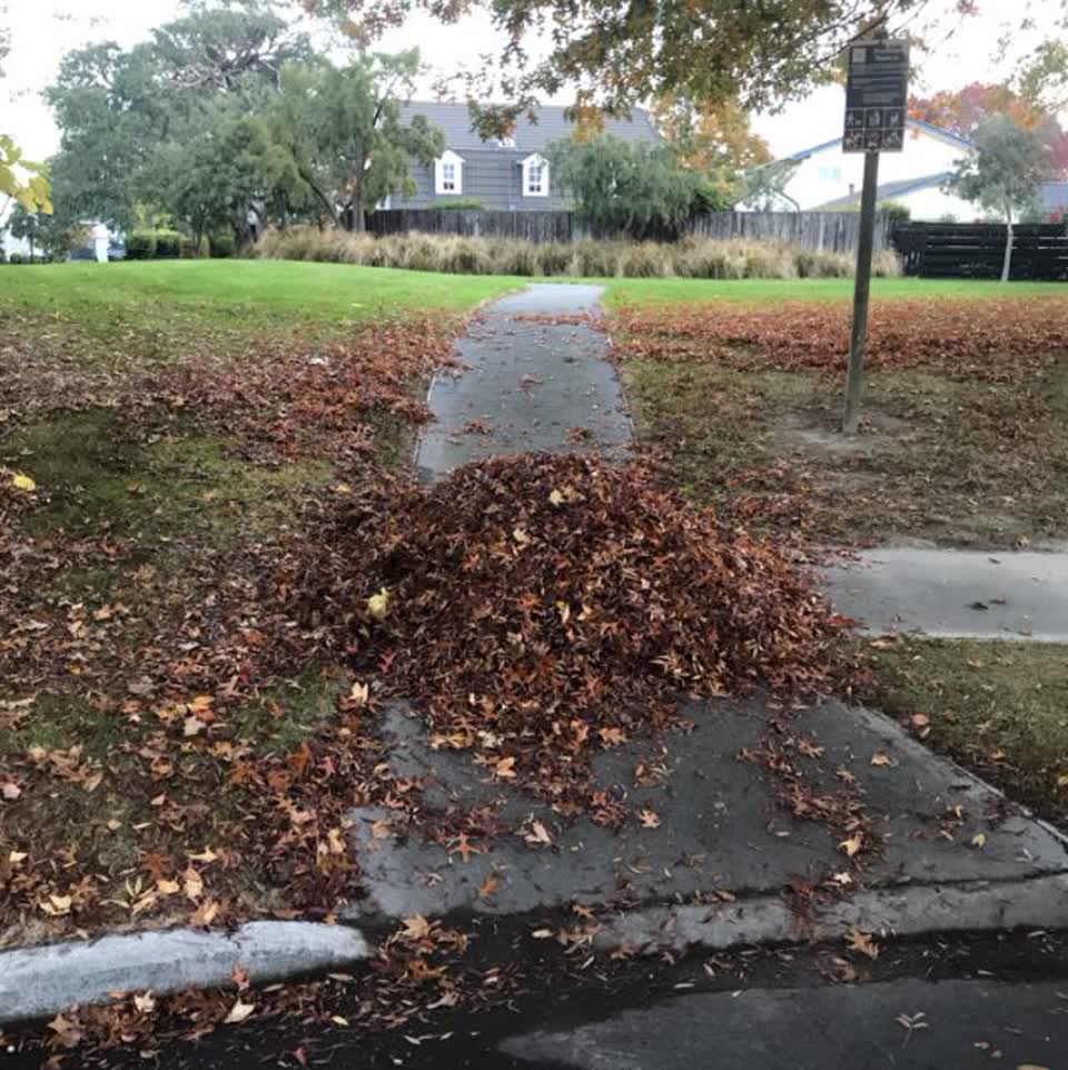 The photograph attached to this roading/streets report