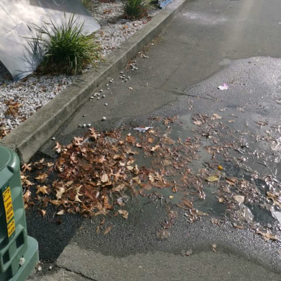 The photograph attached to this water supply report