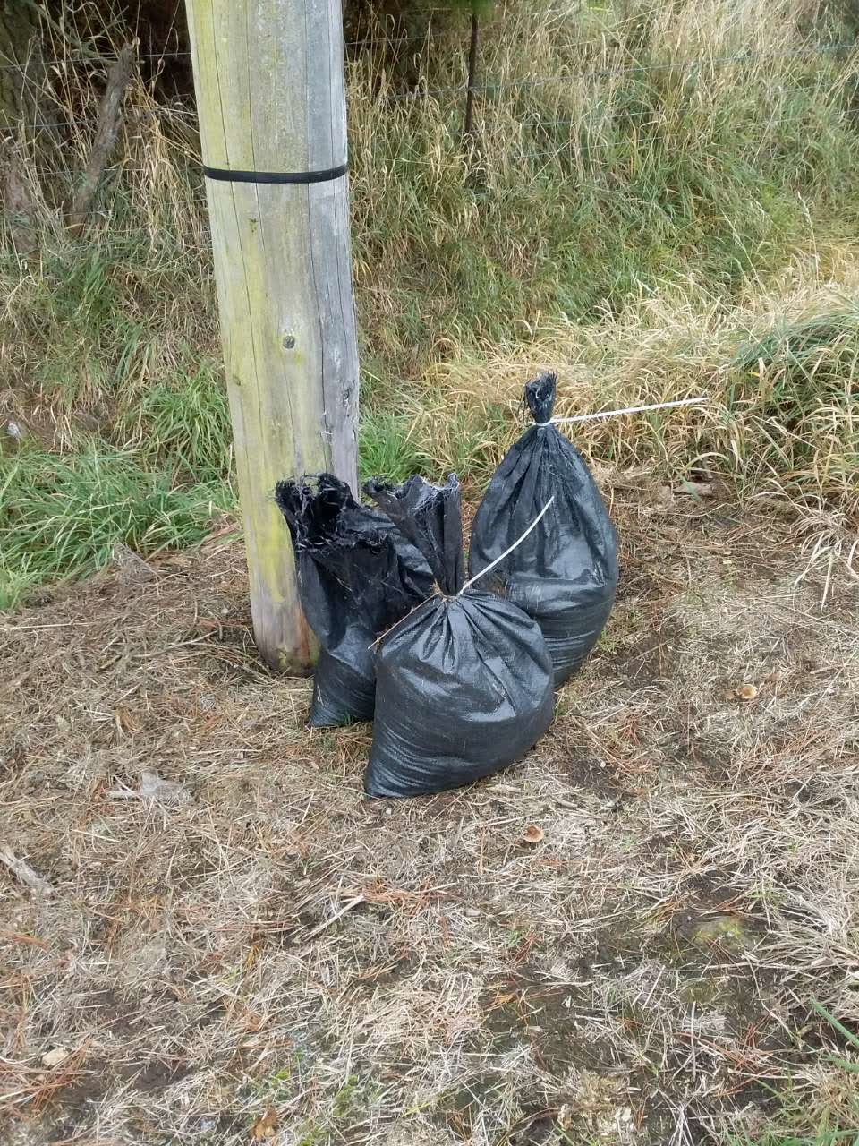 The photograph attached to this rubbish/recycling report