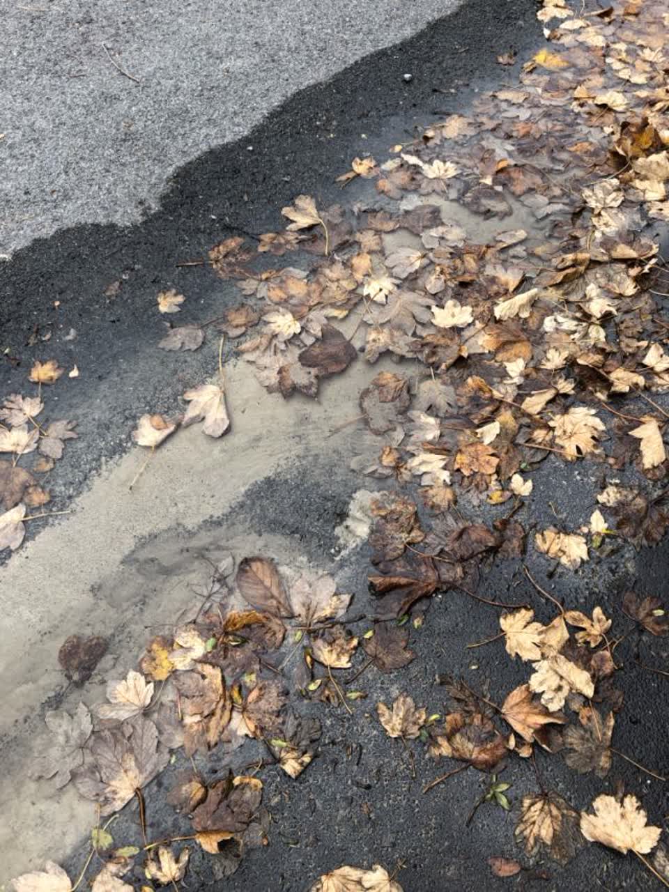 The photograph attached to this water supply report