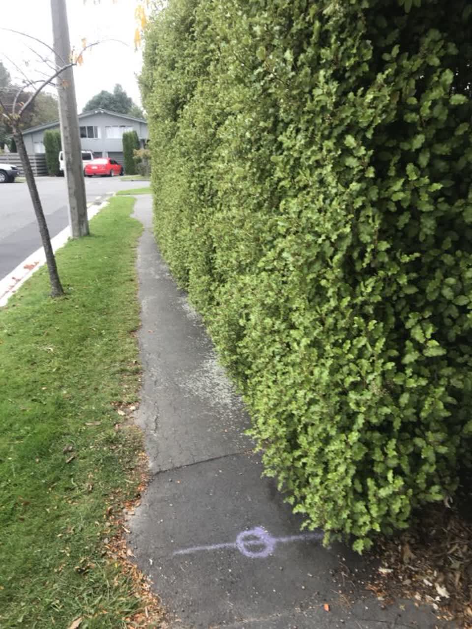 The photograph attached to this roading/streets report