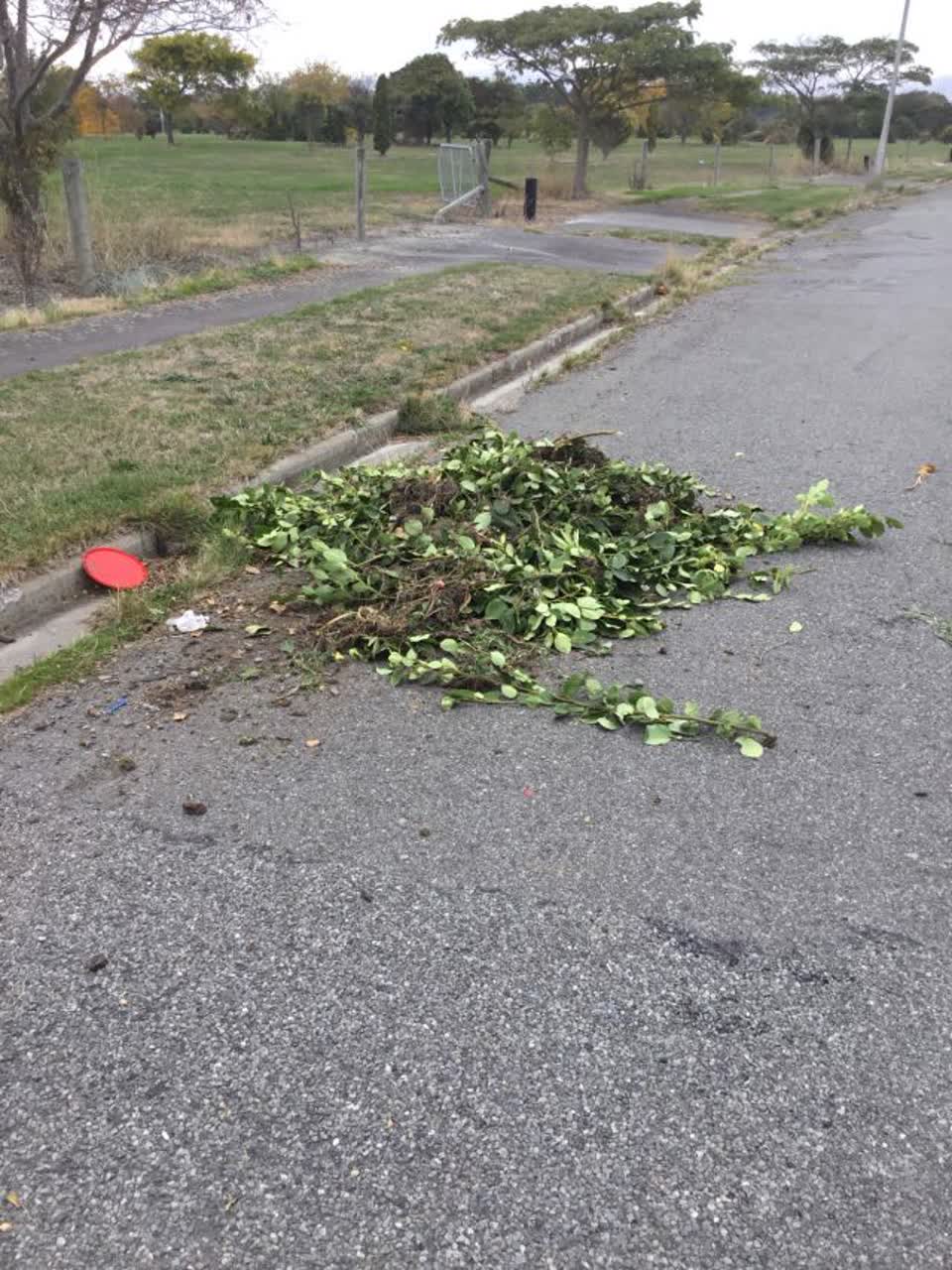The photograph attached to this rubbish/recycling report