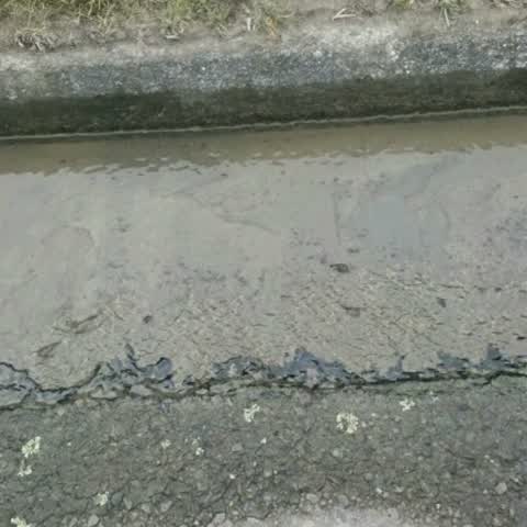 Water Supply, a report photo