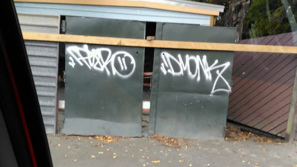 The photograph attached to this graffiti report