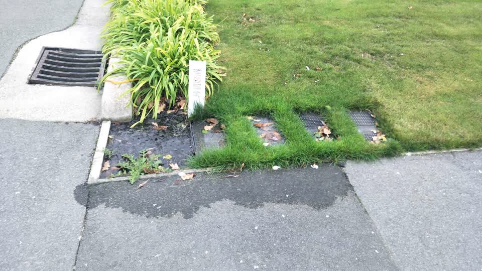 The photograph attached to this water supply report