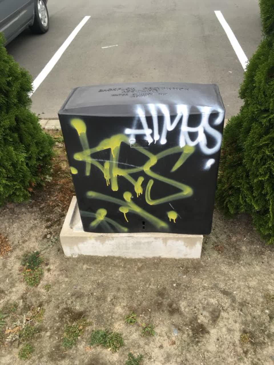 The photograph attached to this graffiti report