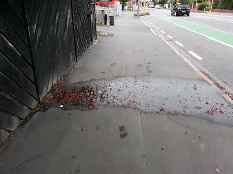 Roading/Streets, a report photo