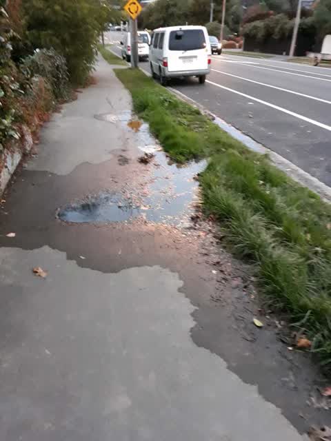 Roading/Streets, a report photo