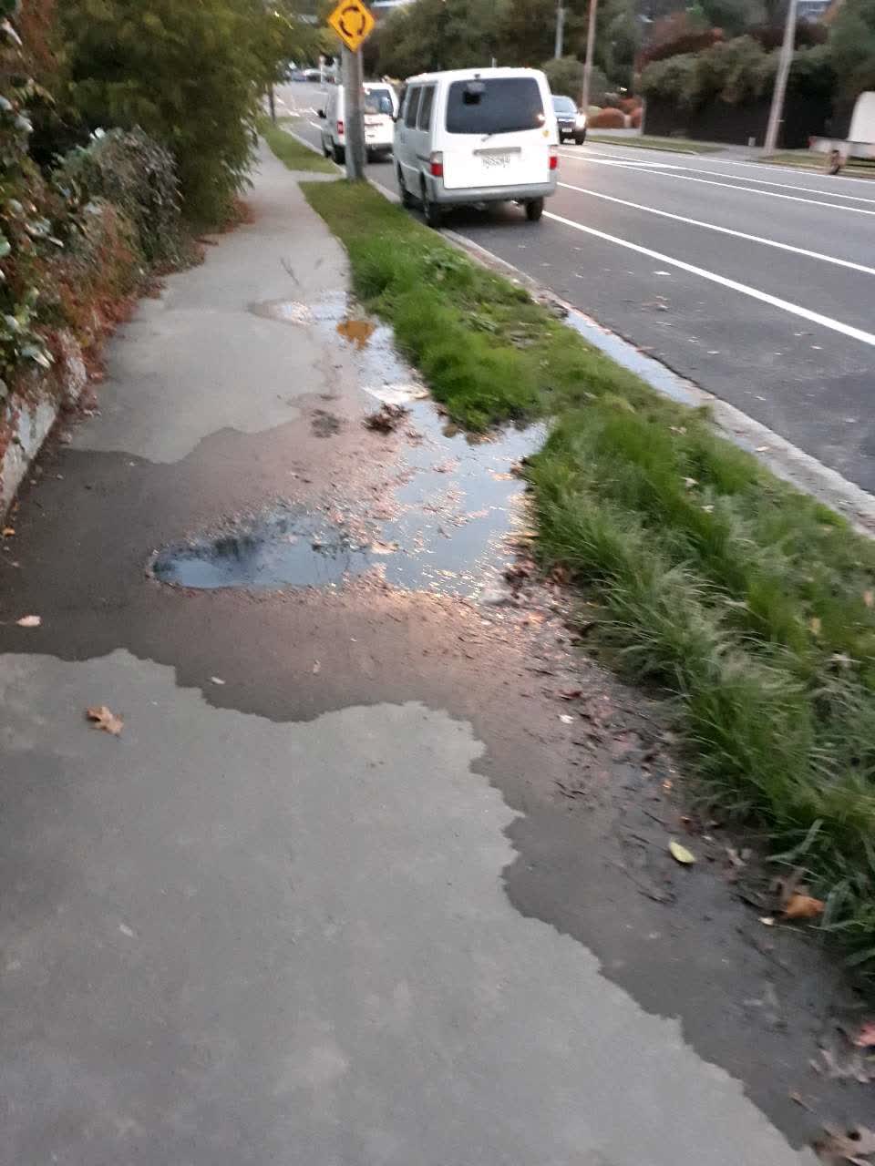 The photograph attached to this roading/streets report
