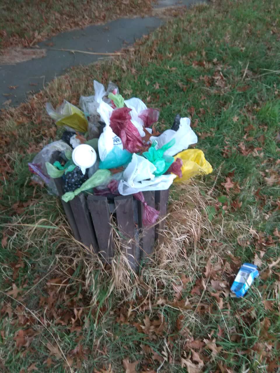 The photograph attached to this rubbish/recycling report