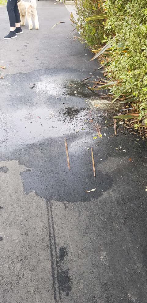 Wastewater/Stormwater, a report photo