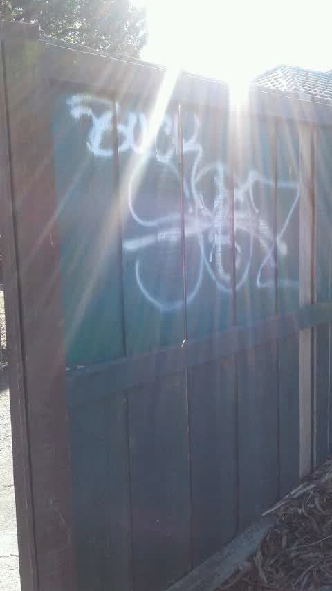 Graffiti, a report photo