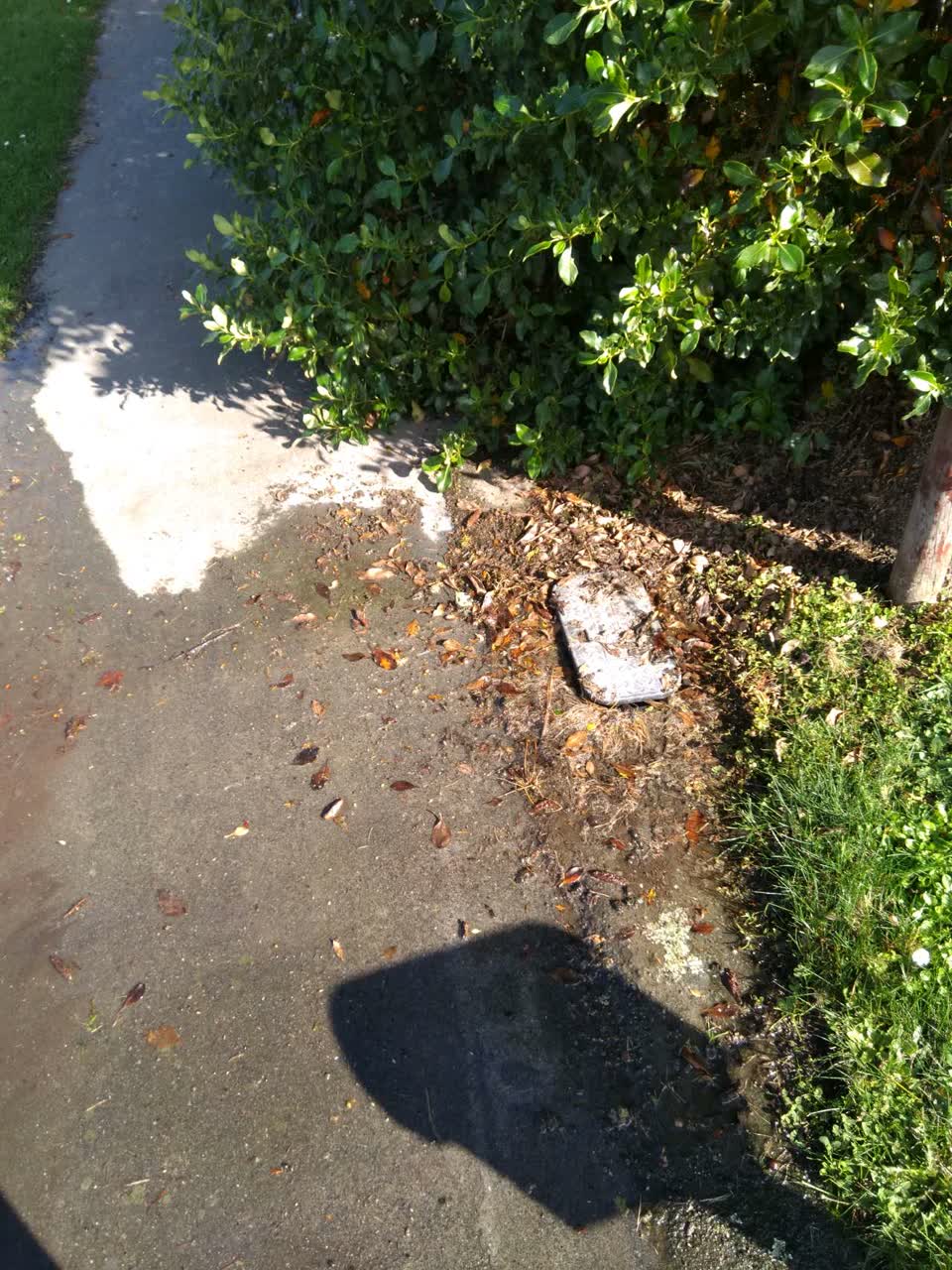 The photograph attached to this water supply report
