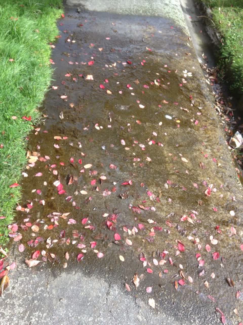 The photograph attached to this flooding report