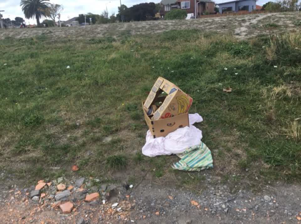 The photograph attached to this rubbish/recycling report