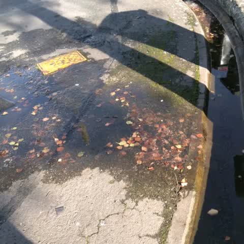 Flooding, a report photo
