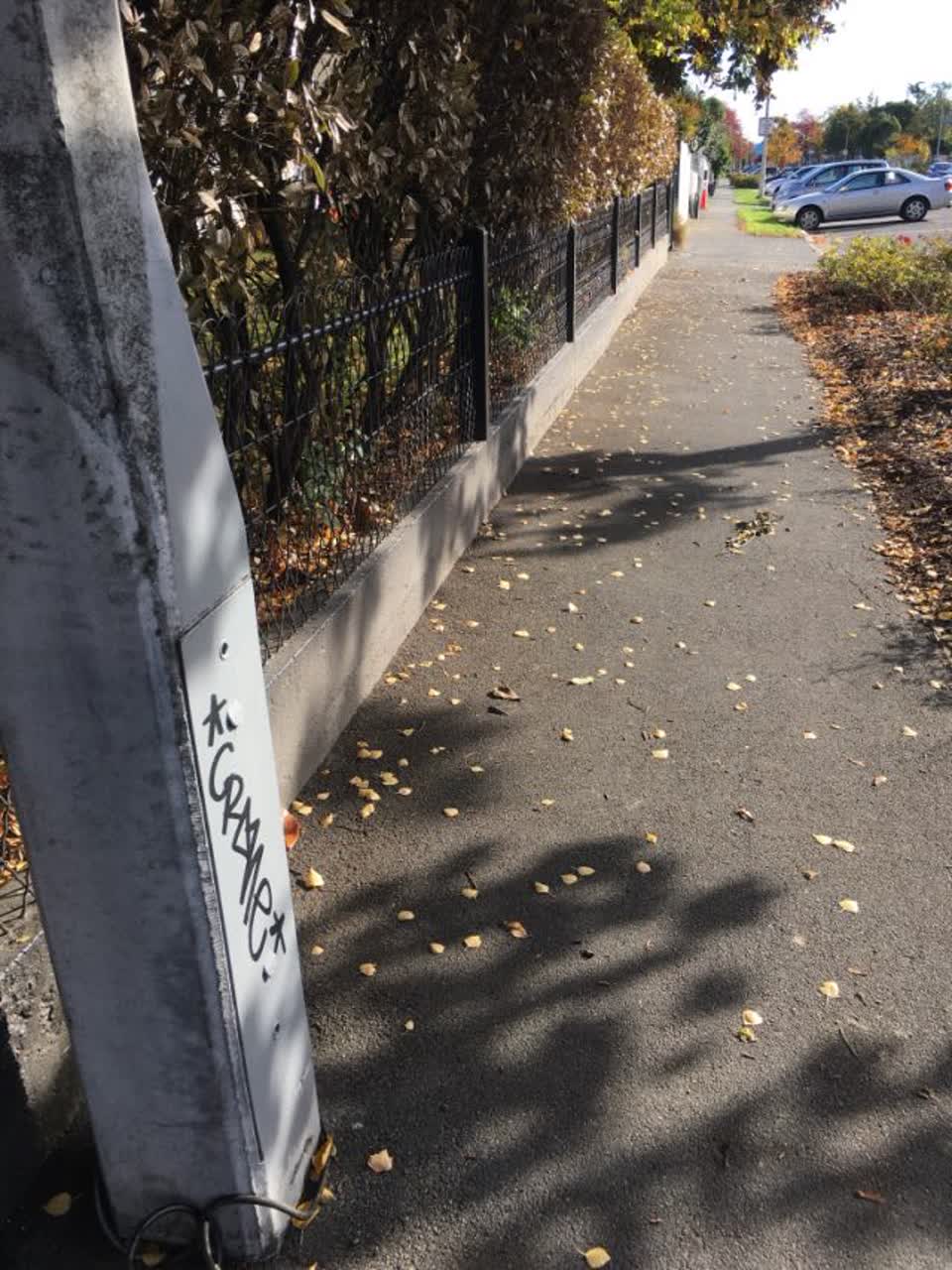 The photograph attached to this graffiti report