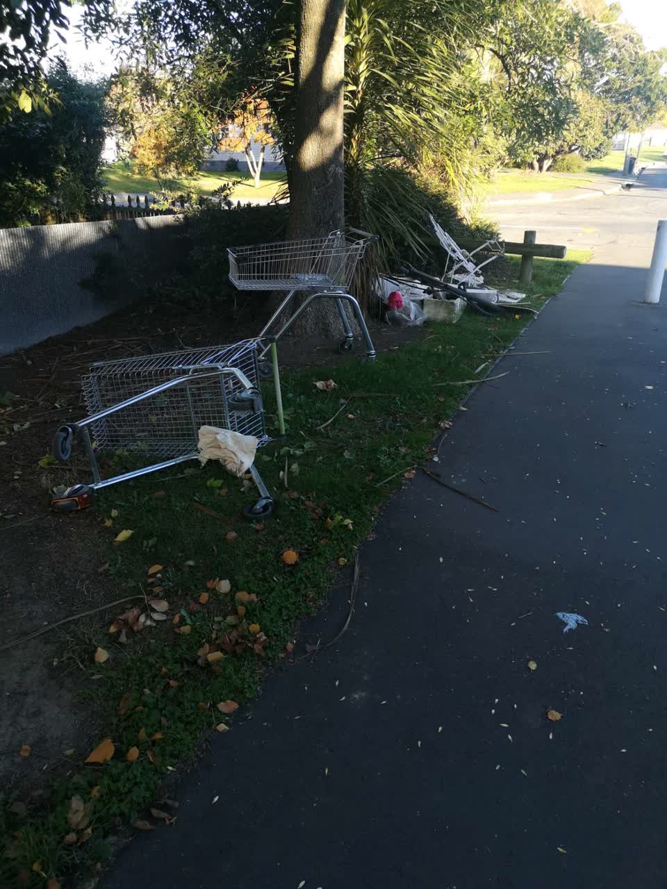 The photograph attached to this parks report