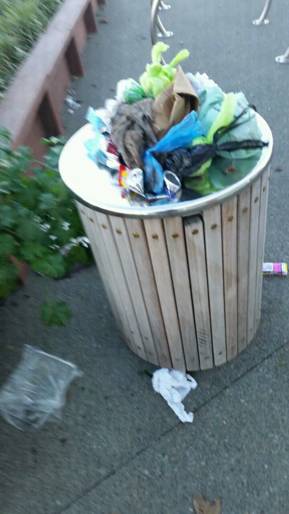The photograph attached to this rubbish/recycling report