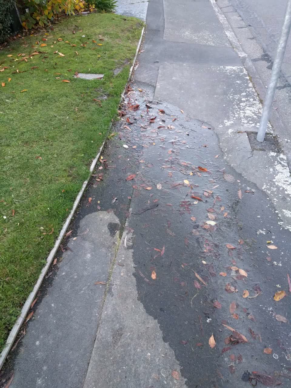 The photograph attached to this water supply report