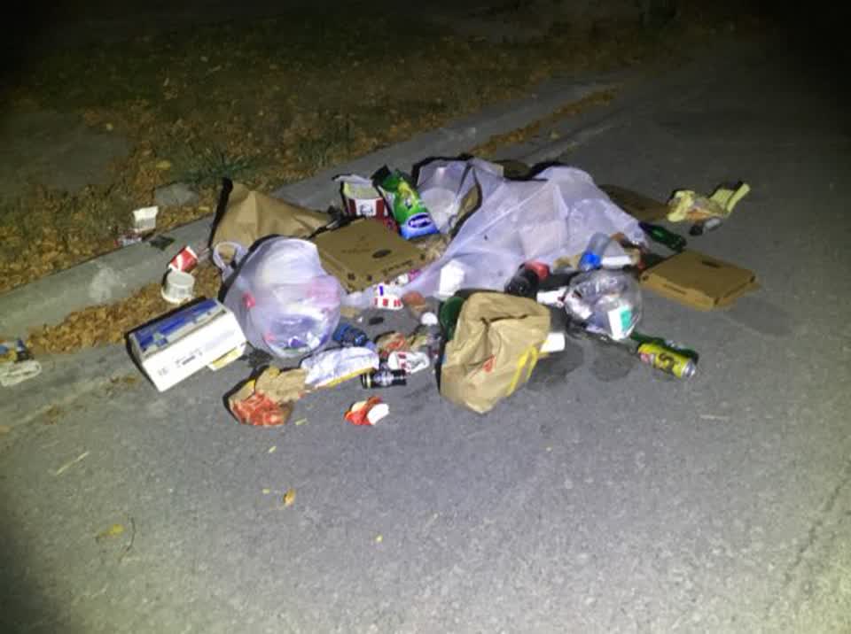 The photograph attached to this rubbish/recycling report