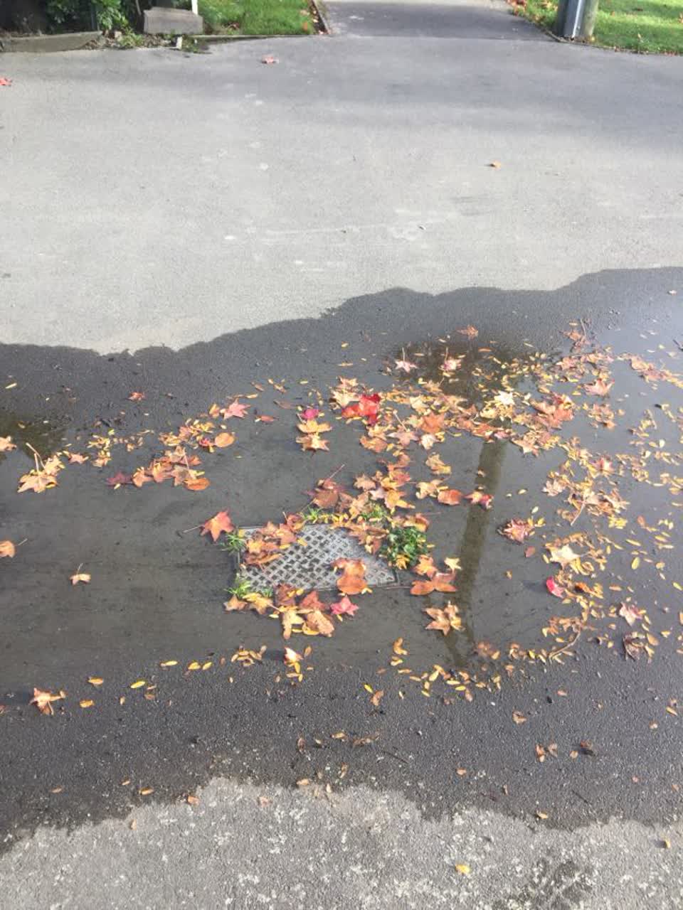 The photograph attached to this water supply report