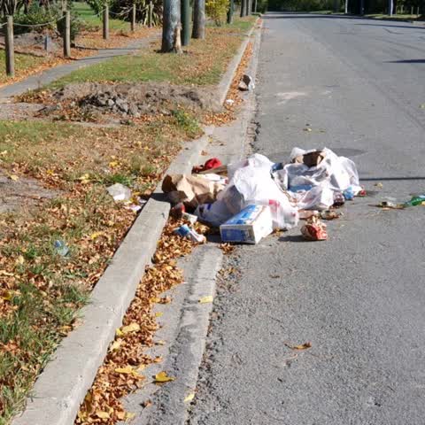Rubbish/Recycling, a report photo