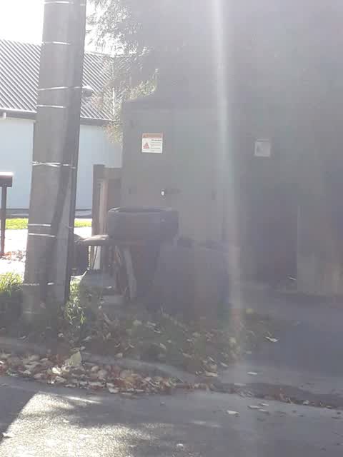 Rubbish/Recycling, a report photo