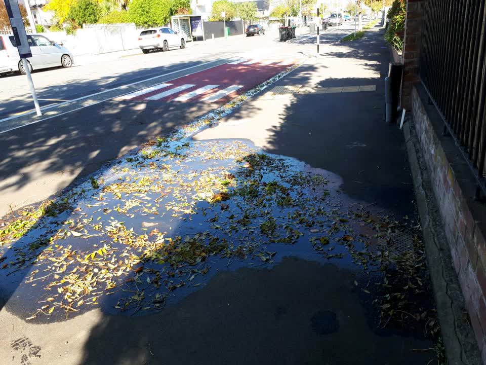 The photograph attached to this water supply report