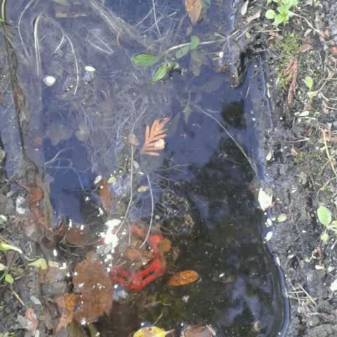 Wastewater/Stormwater, a report photo