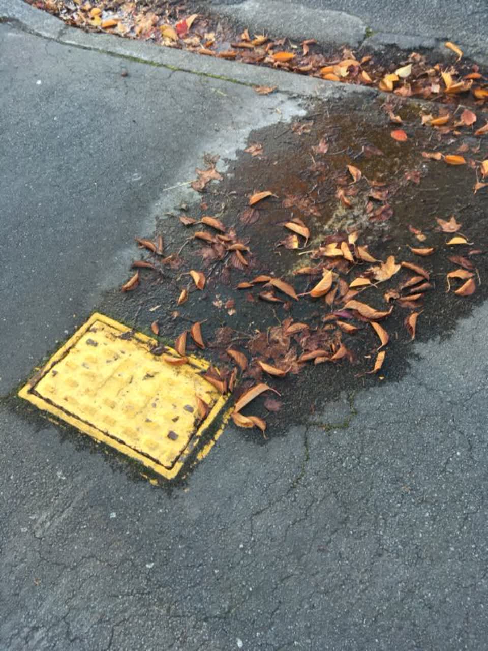 The photograph attached to this water supply report