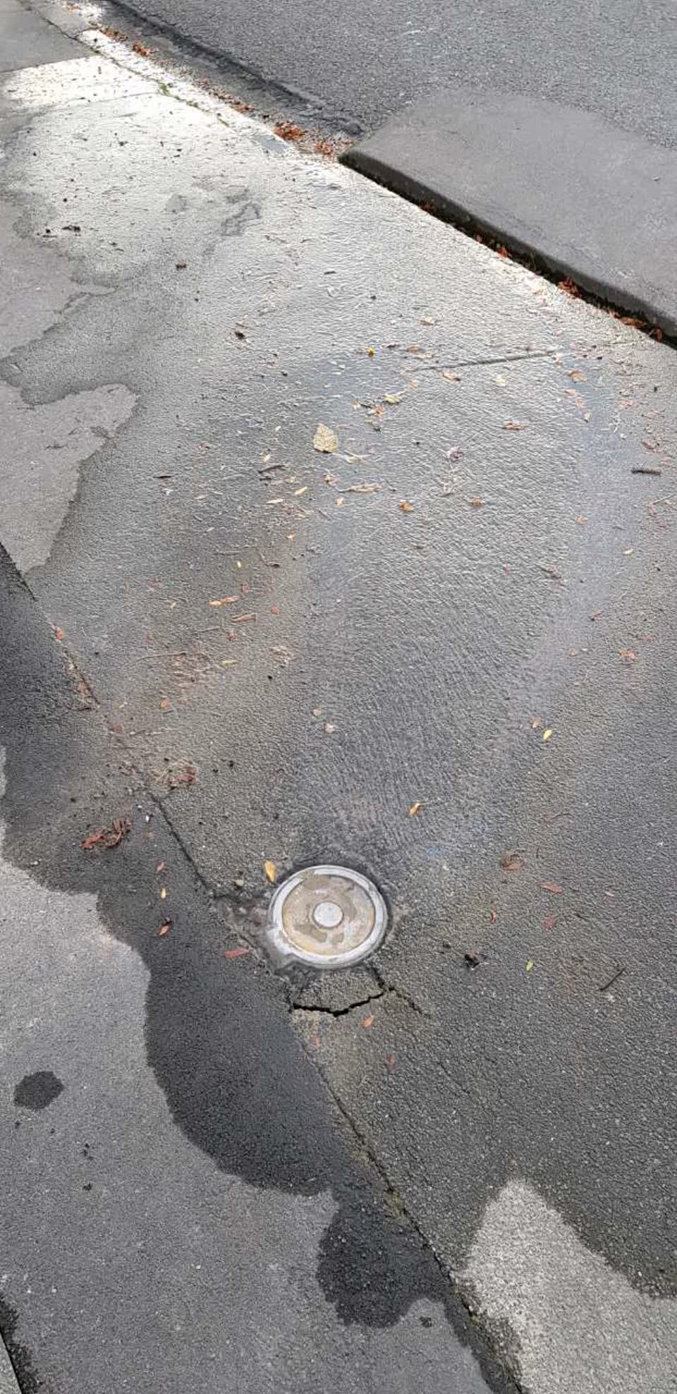 The photograph attached to this water supply report