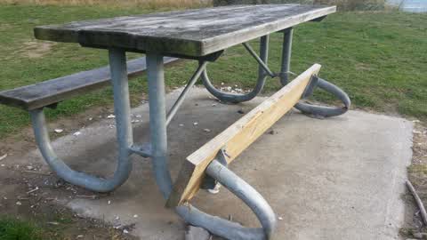 Parks, a report photo