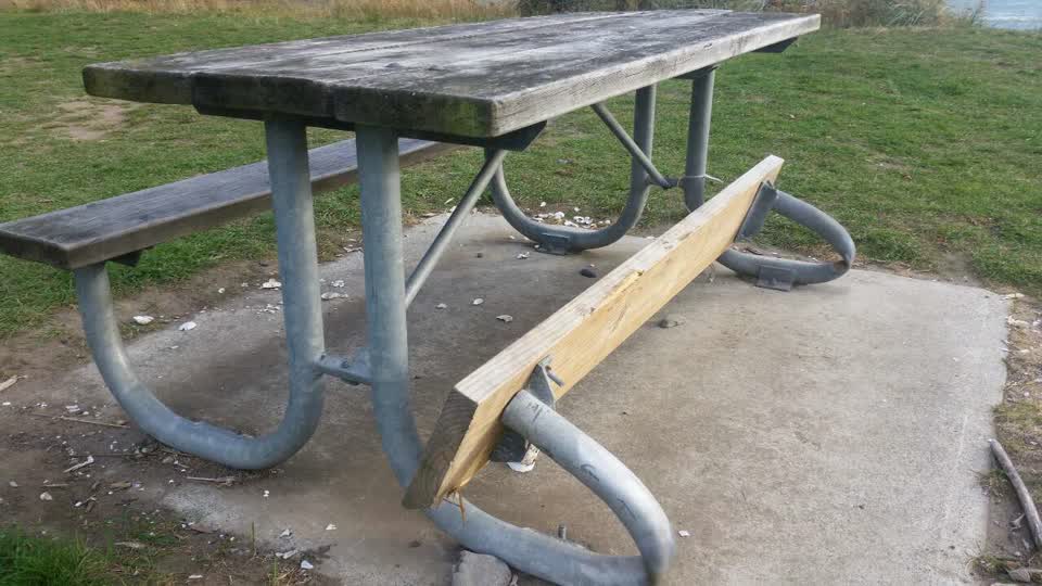 The photograph attached to this parks report