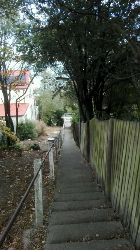 Roading/Streets, a report photo
