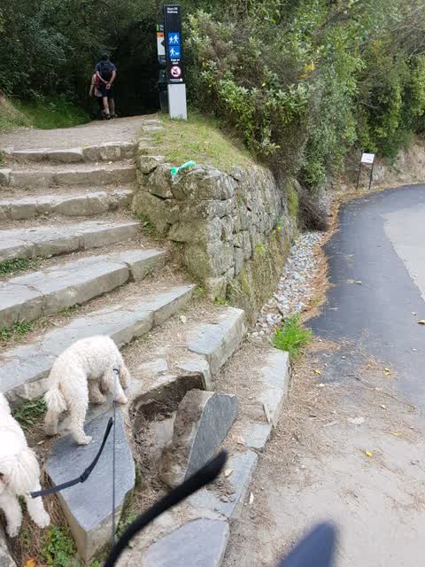 Roading/Streets, a report photo