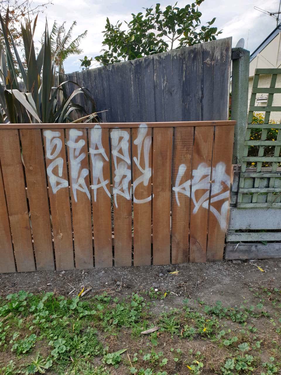The photograph attached to this graffiti report