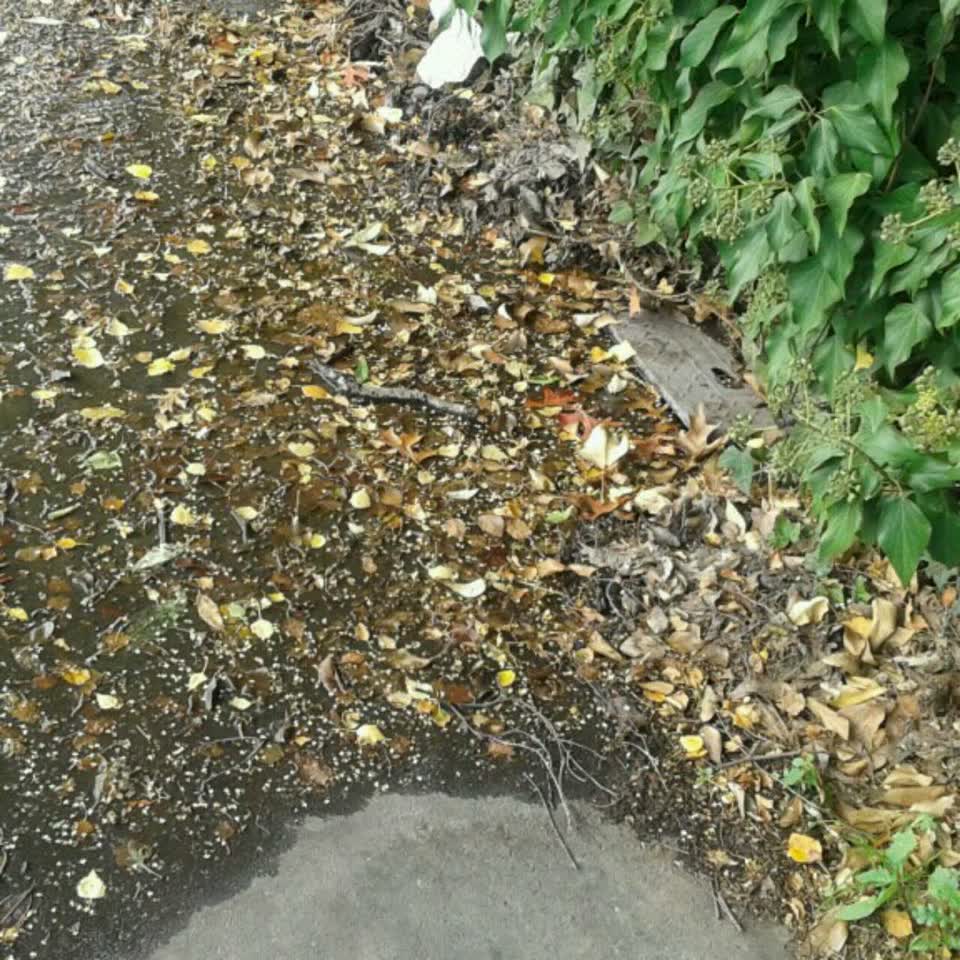The photograph attached to this wastewater/stormwater report