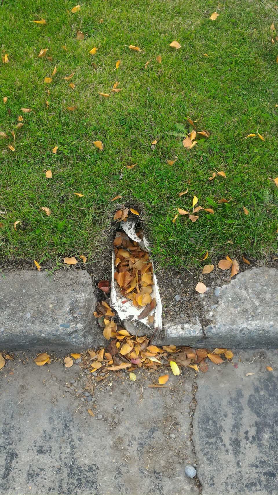 The photograph attached to this wastewater/stormwater report
