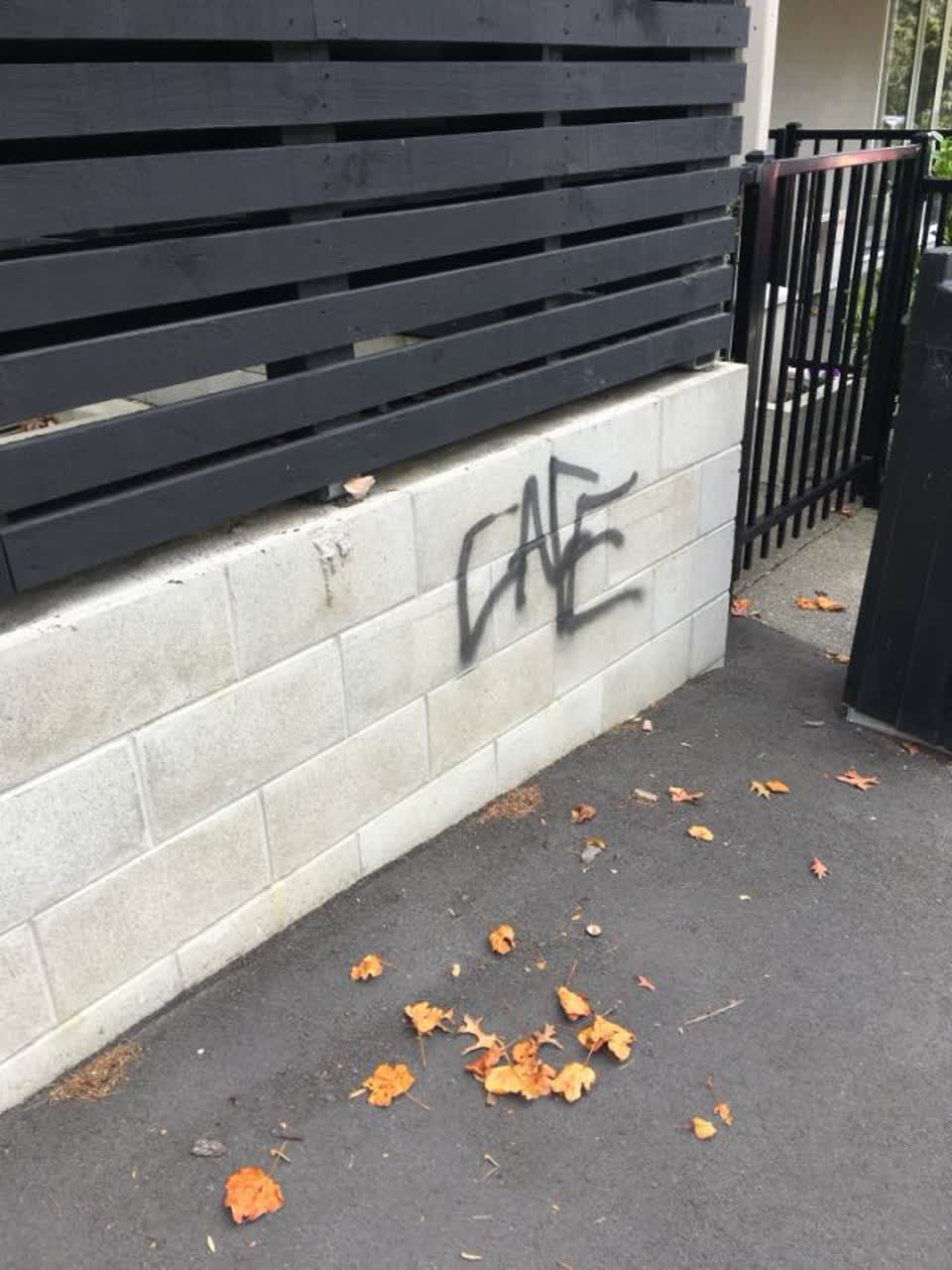 The photograph attached to this graffiti report