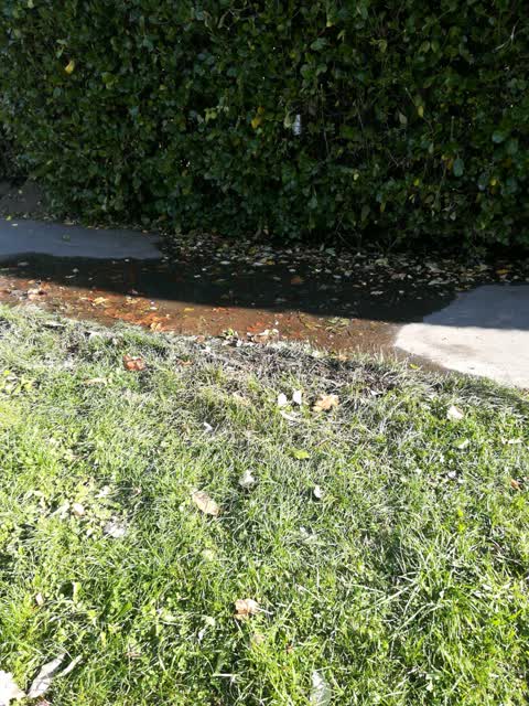 Water Supply, a report photo