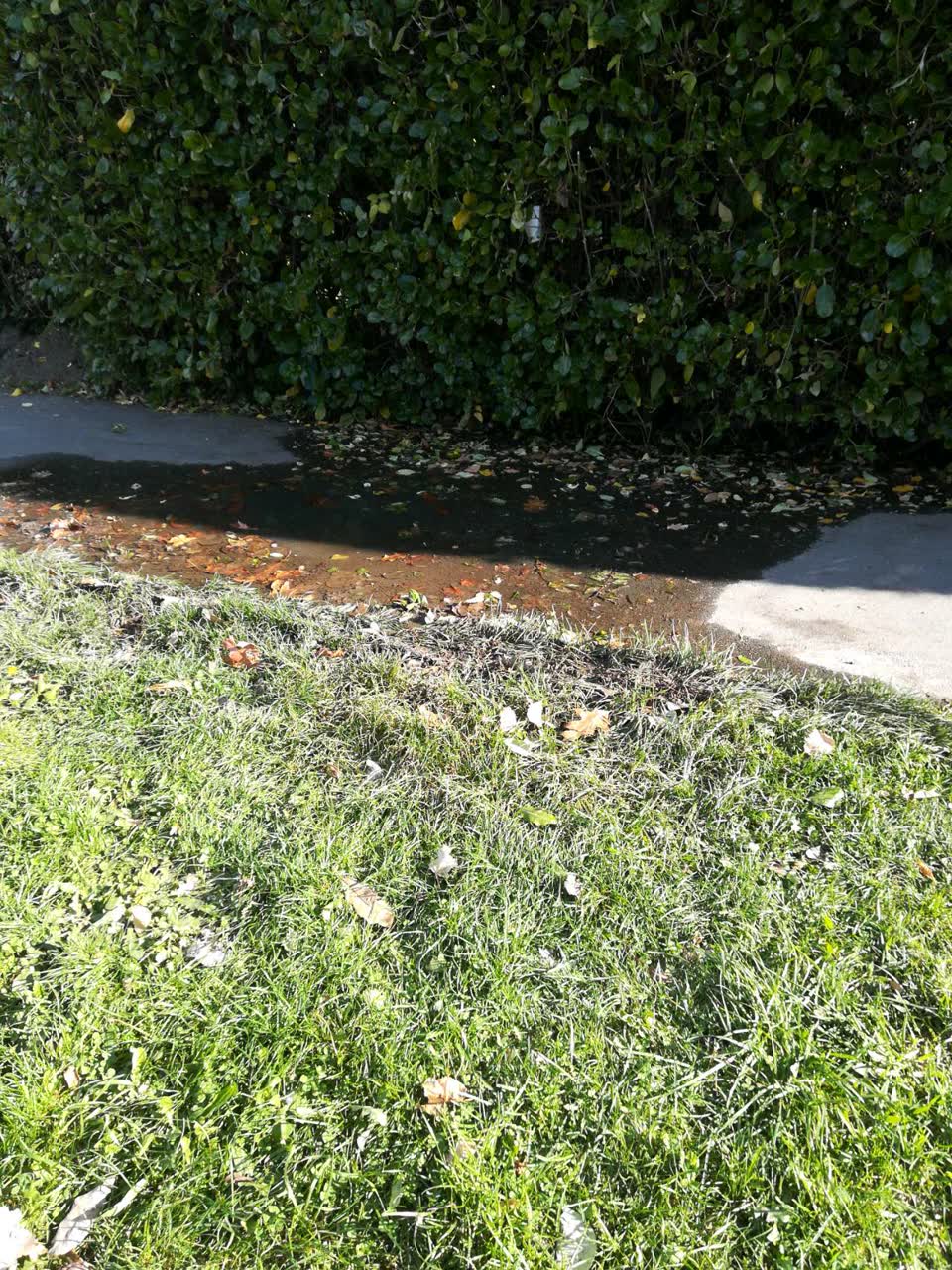 The photograph attached to this water supply report