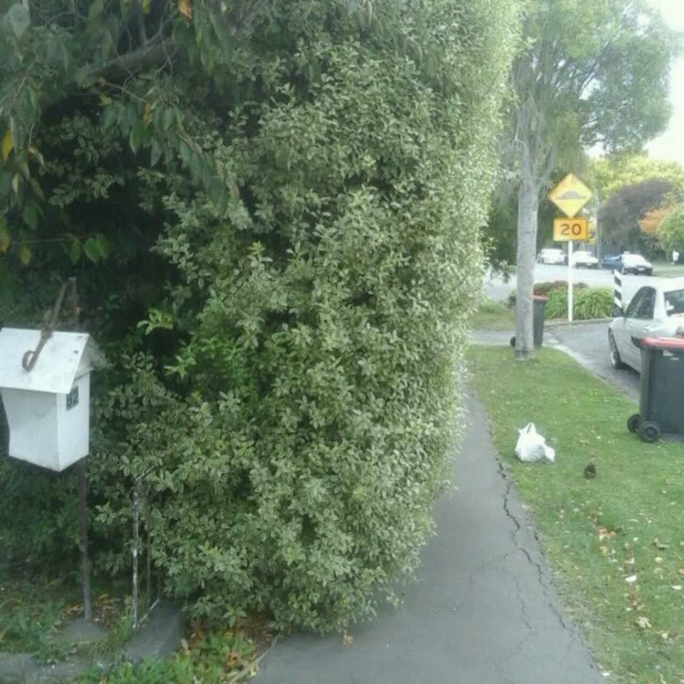 The photograph attached to this roading/streets report