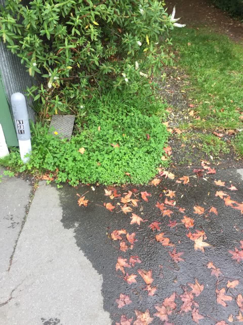 The photograph attached to this wastewater/stormwater report